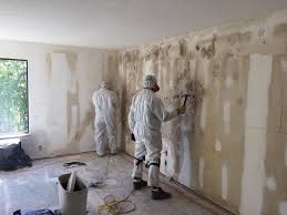 Best Commercial Mold Inspection  in Dunes City, OR